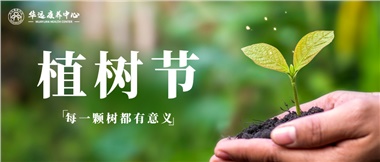 每一棵樹(shù)都有意義——3.12植樹(shù)節(jié) 栽種生命的新綠 點(diǎn)亮自然的微光